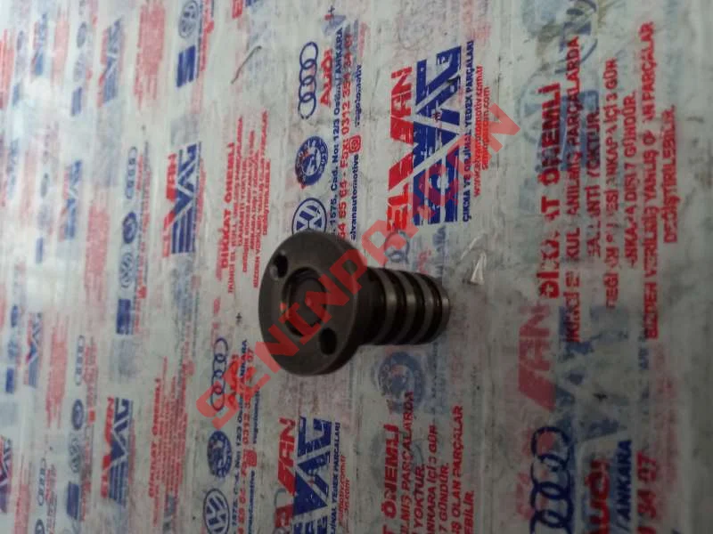 06H109257A - KONTROL VALFI