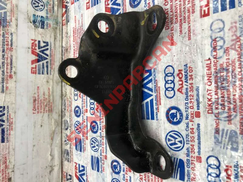 0FN409905G - ŞANZIMAN KULAĞI