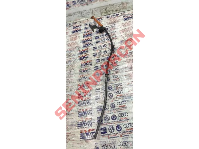 036115629AP - YAGCUBUGUBORUSU