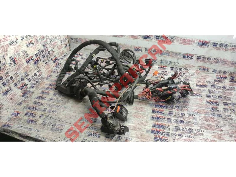 4G1971072GF - MOTOR KABLO TESISATI