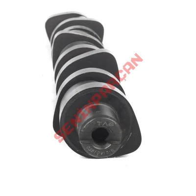 038109101K - EKSANTRİK MİLİ