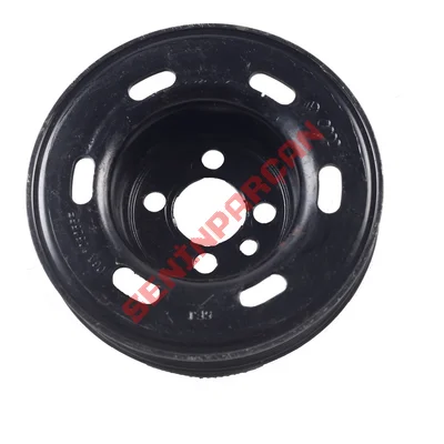 06A105255F - KAYIŞ KASNAĞI