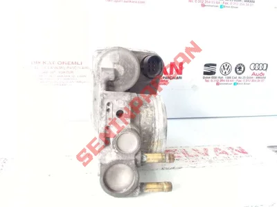 06F133062 - BOGAZ KELEBEGI