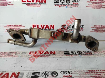 038131513L - EGZOZGAZISOGUTUCU