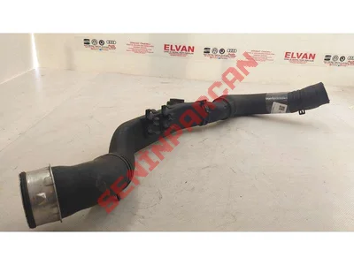 1K0145856A - BASIN HORTUMU