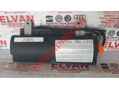 4B9880441 - YANHAVAYASTIGIARK