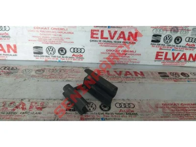 5G0881348G - KILAVUZ KIZAĞININ