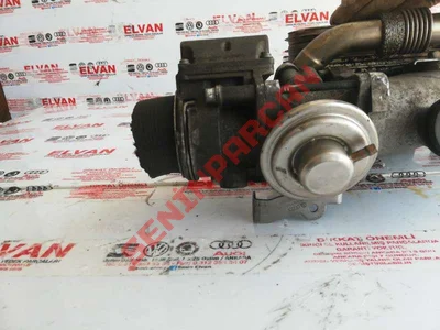 A2053099815 - BOĞAZ KELEBEĞİ - İkinci El Orjinal