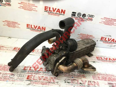 038131513J - EGZOZGAZISOGUTUCUS