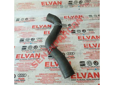 1S0121101 - DAVLUMBAZ FAN