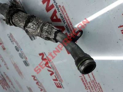 059145735N - YAGDONUSBORUSU