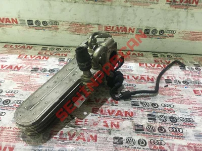 03G131063 - BOGAZ KELEBEGI