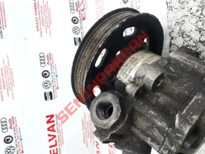 028145255F - V KAYIŞI KASNAĞI