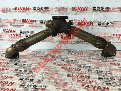 059131799P - EGZOZ BORUSU DIRSEGI