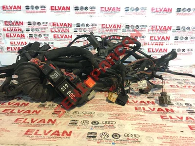 8A0937530 - SIS FARI