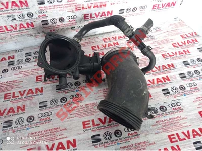 079129628C - EMME HORTUMU - İkinci El Orjinal