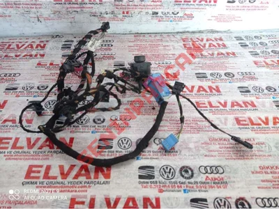 3G1971557B - KAPI KAPLAMASI