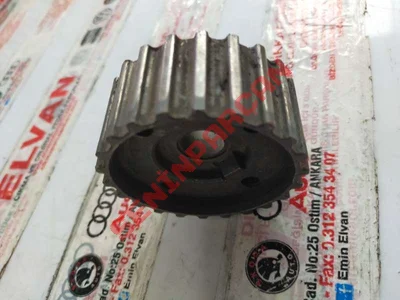 068105263C - TRIGER KAYIŞI KASNAĞI