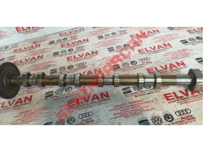 06H109571K - EKSANTİRİK ZAMANLAMA DİŞLİSİ - İkinci El Orjinal