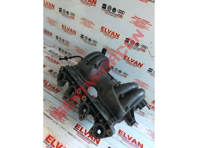 030129711BF - EMMEAĞIZLARI