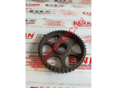 031109111C - DİŞLİ