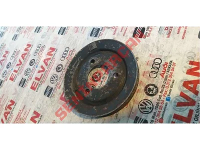 060121031 - KAYIŞ KASNAĞI