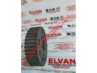 038109111 - TRIGER KAYIŞI KASNAĞI