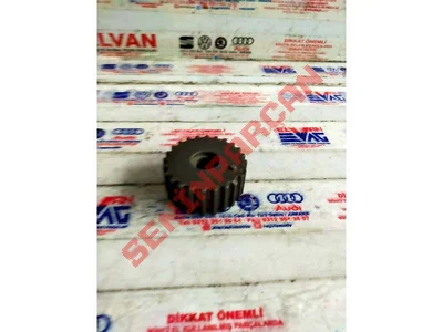 036105263L - TRIGER KAYIŞI KASNAĞI