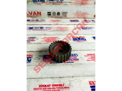 036105263L - TRIGER KAYIŞI KASNAĞI