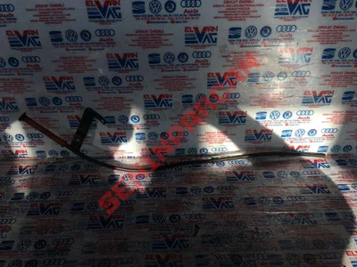 036115629L - YAGCUBUGUBORUSU