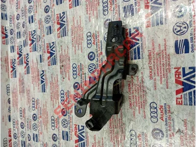 2N0121079BM - TUTUCU