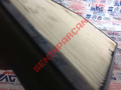 2D0819638 - POLEN FILTRE