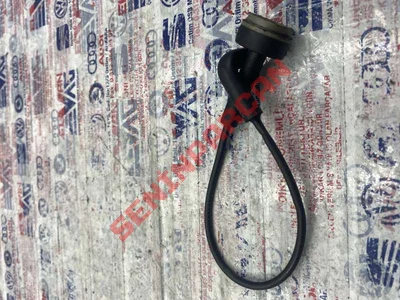 037133843A - GERIDONUSHORTUMU