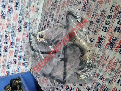 059121058E - SOGUTMAHORTUMU