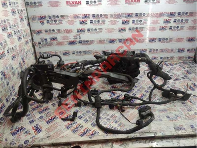 06A971921B - DIRSEK KORUMA KAPAĞI