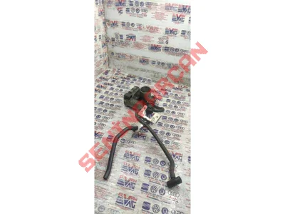 030103493CT - HAVA ALMA HORTUMU