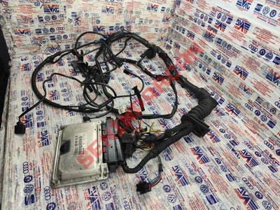 038906019BR - DIZEL MOTOR KONTROL ÜNITESI - İkinci El Orjinal