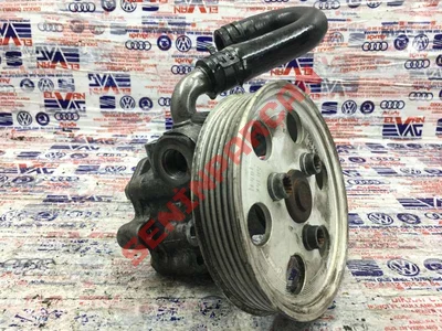 059145255H - KAYIŞ KASNAĞI