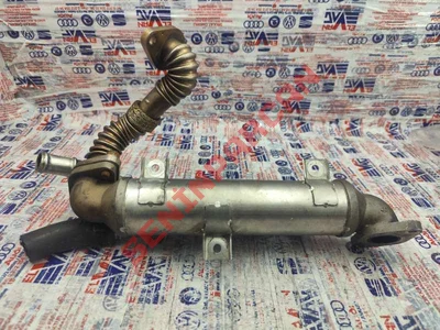 038131513H - EGRSOGUTUCUSU