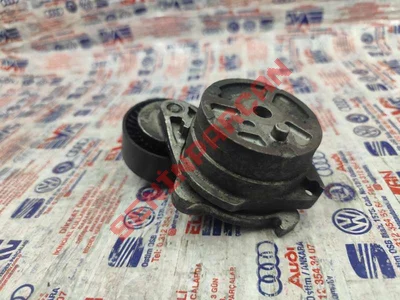 059903133Q - KAYIS GERGISI