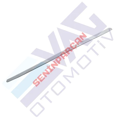 6Q4853515AGRU - KAPI KORUMA ÇITASI