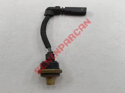 070919501A - HARARETMUSURU