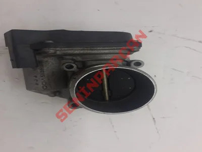 06F133062G - BOGAZKELEBEGI