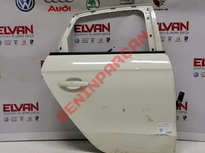 8X4833052 - ARKA KAPI SAG