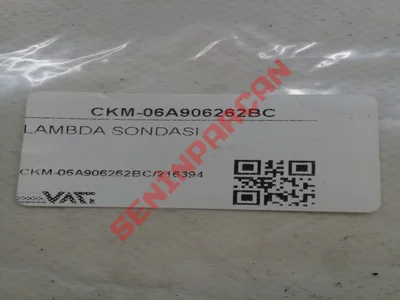 06A906262BC - LAMBDA SONDASI