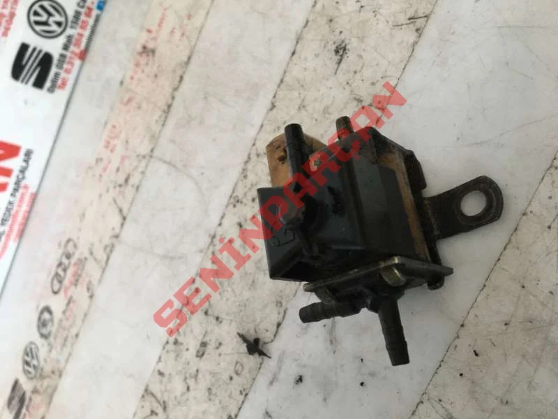 054906267A - GERME PIMI