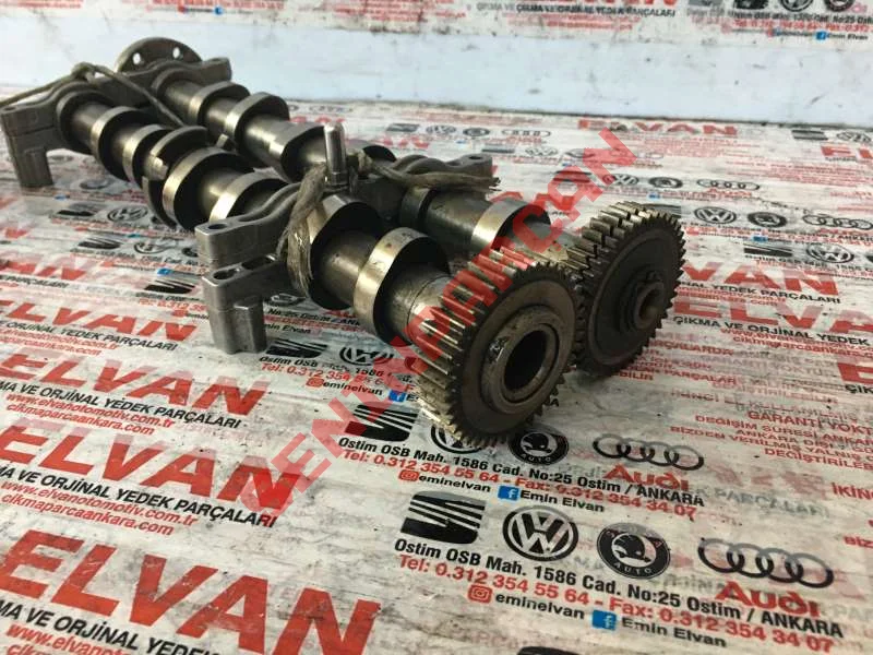 059109022CT - KAMMILI