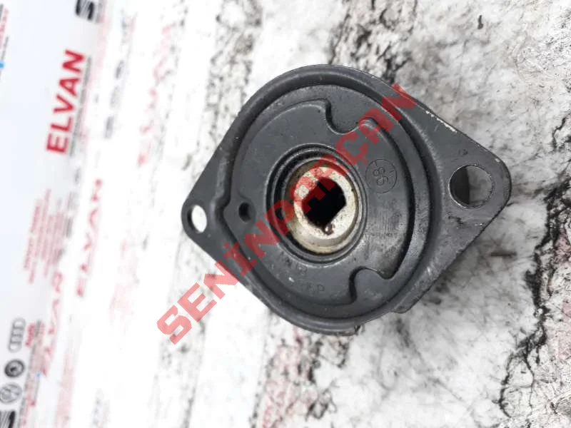 028903315P - GERGI MAKARASI