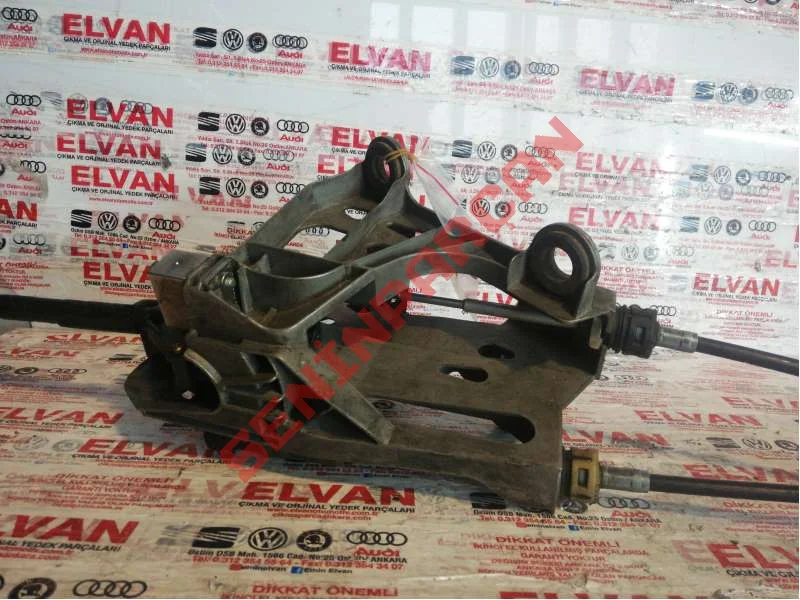 7H1711877Q - VITES TELI