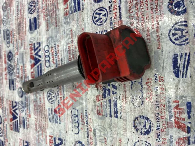 06E905115D - ATESLEME BOBINI